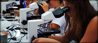 best medical school essay editing service best medical school essay editing service